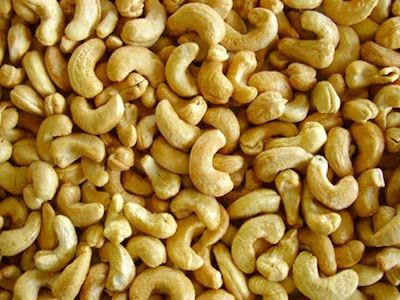 anacardo